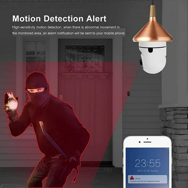 Camera de surveillance