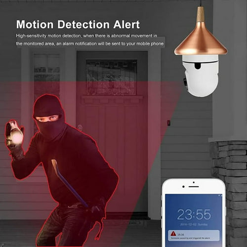 Camera de surveillance