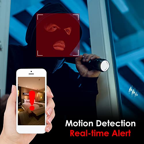 Camera de surveillance